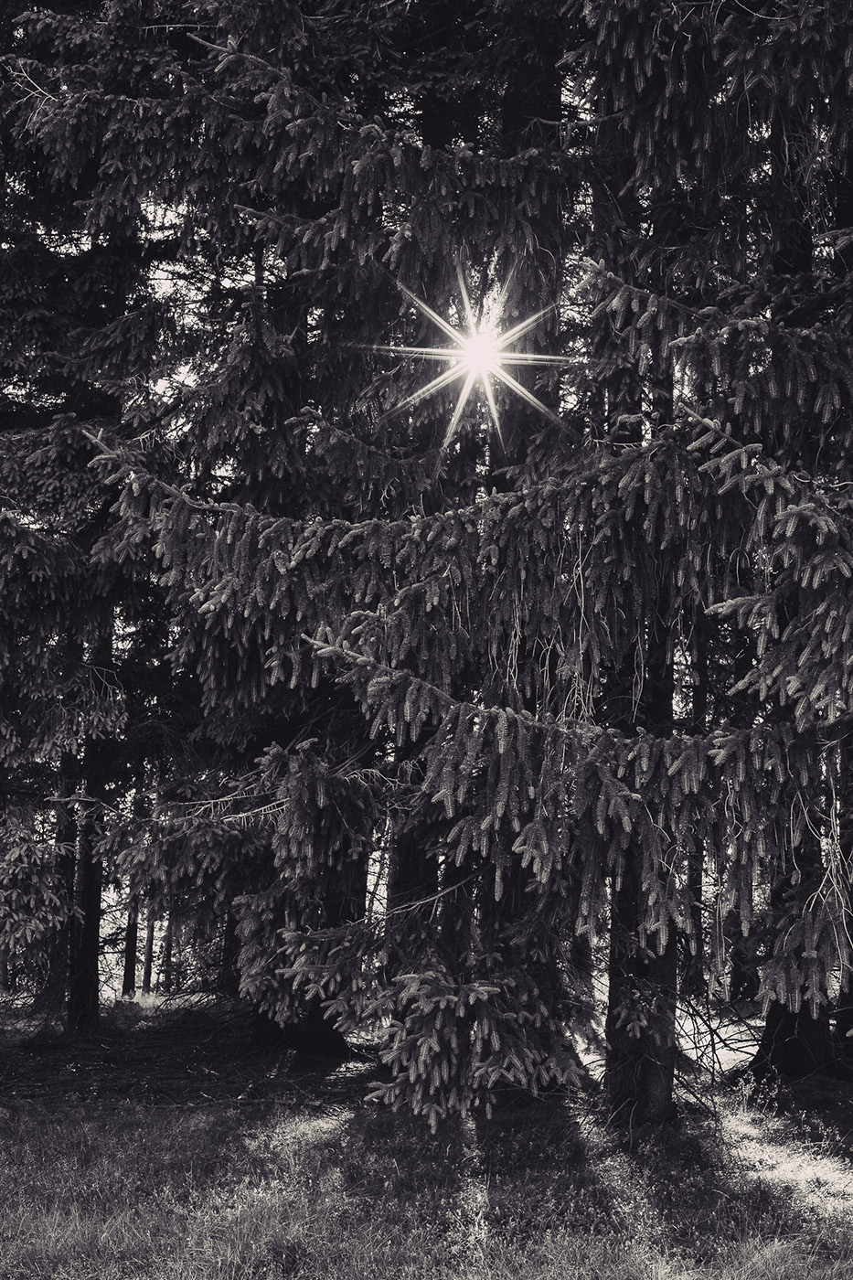 fotografia krajobrazu poradnik