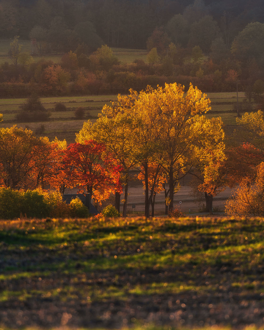 jak fotografować niebo