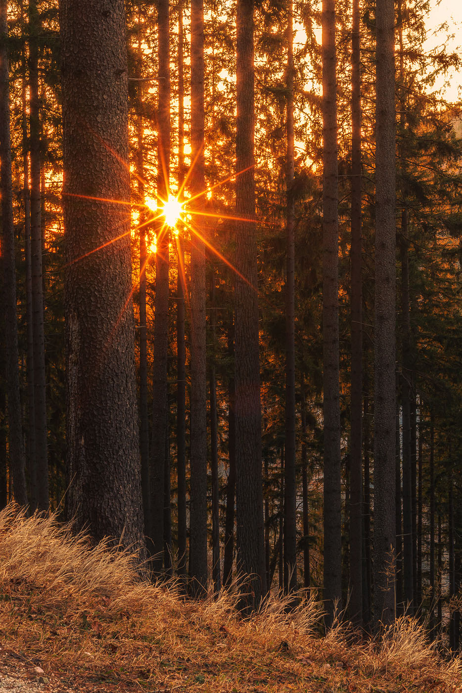 poradnik jak zrobić gwiazdkę na zdjęciu