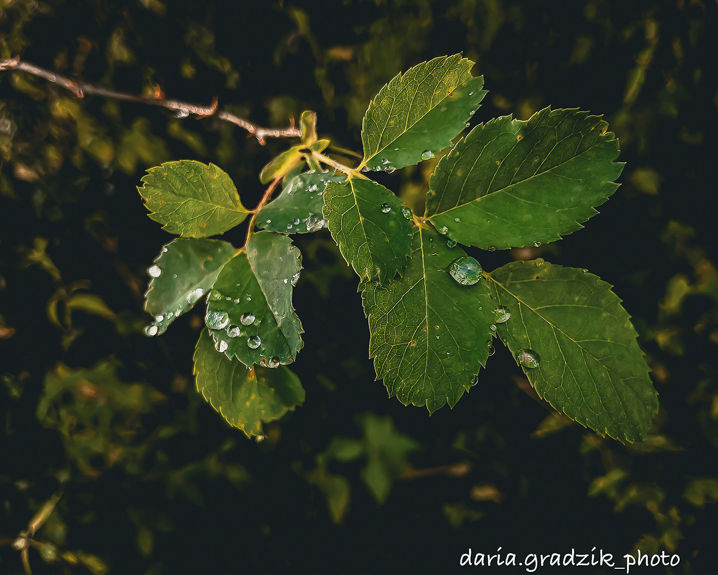 kurs fotograficzny kotlina kłodzka