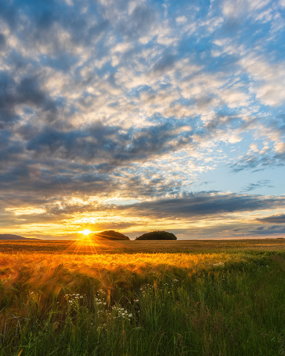 fotografia zachodu słońca