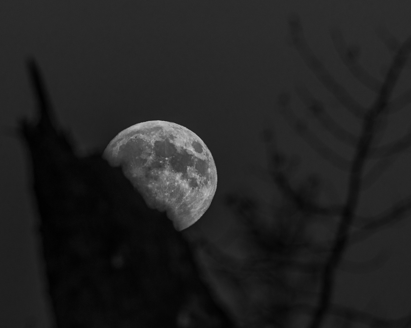 fotografowanie księżyca