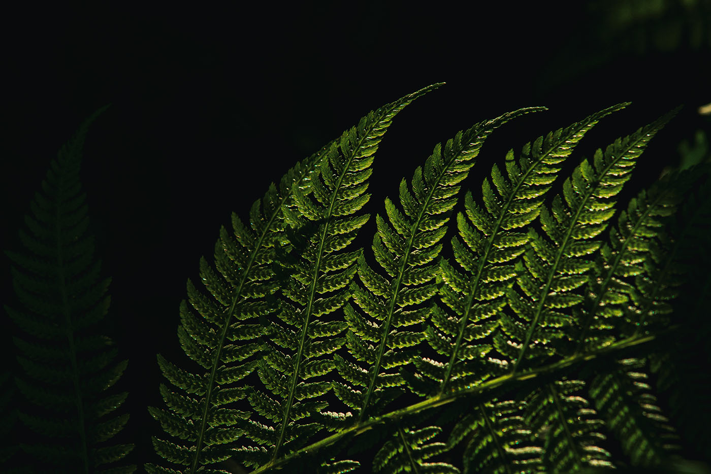 jak być lepszym fotografem