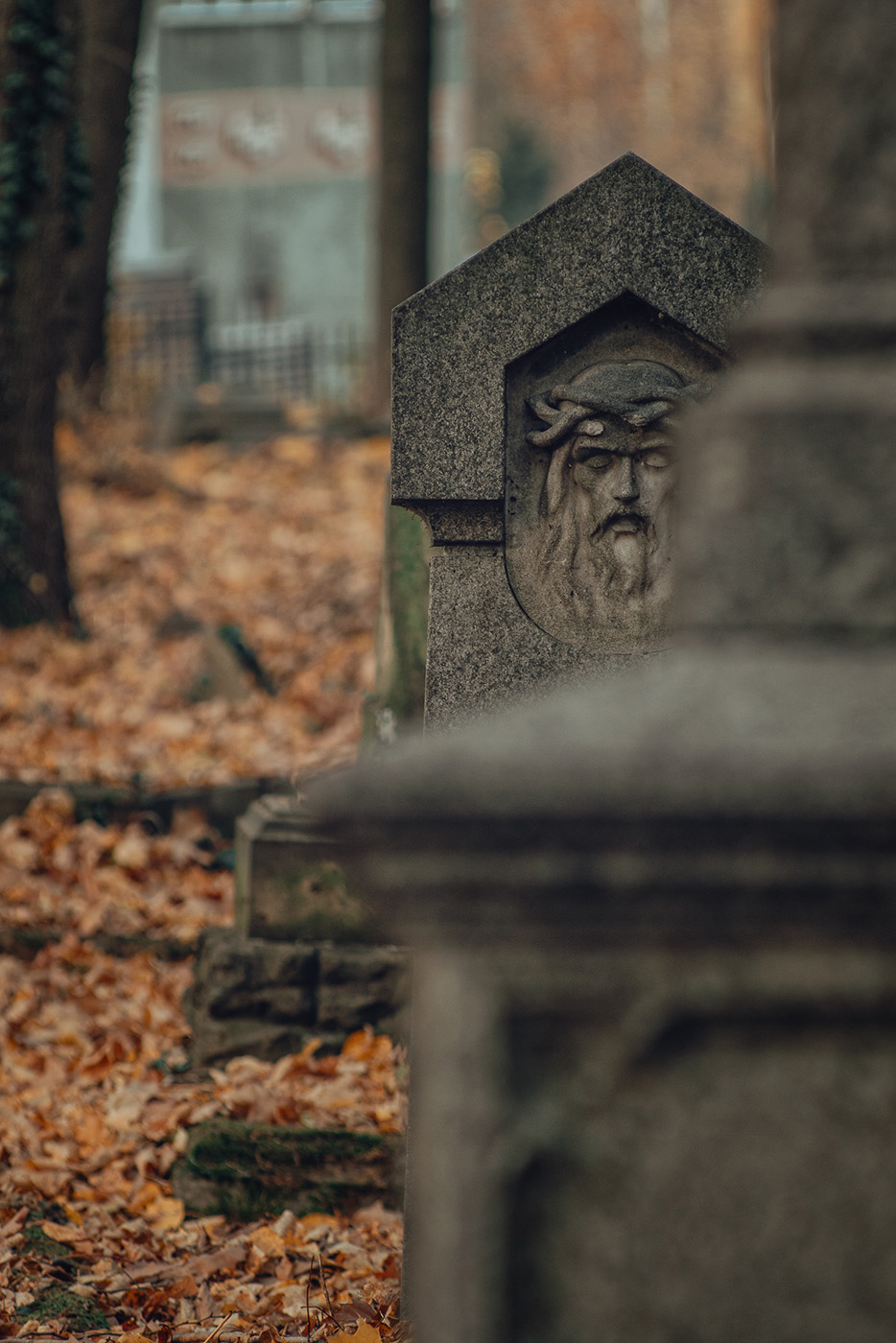 tajemniczość na fotografii cmentarza