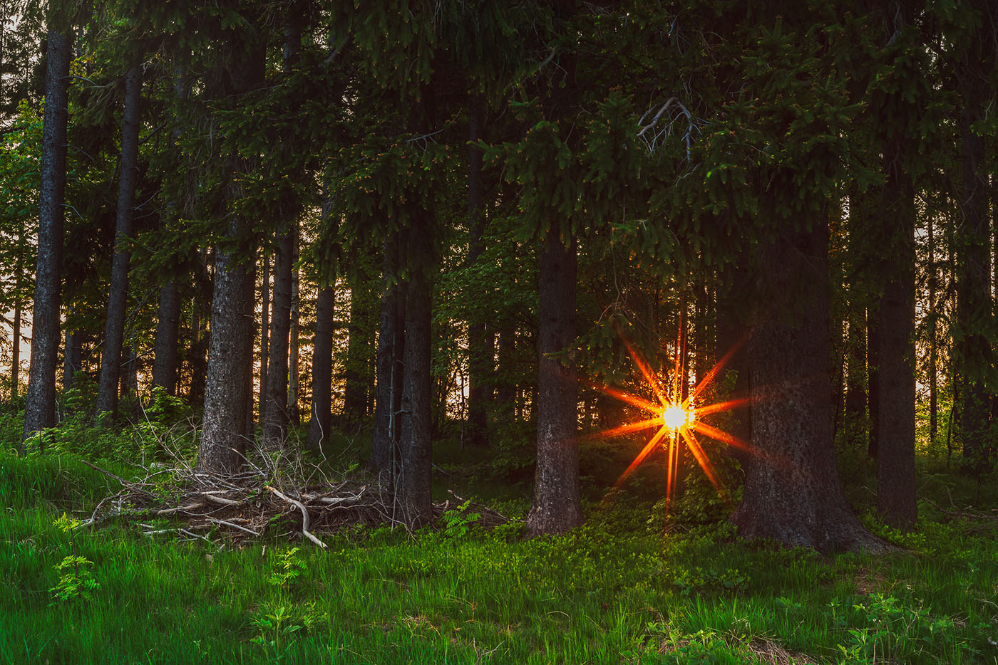 Jak fotografować gwiazdki słoneczne