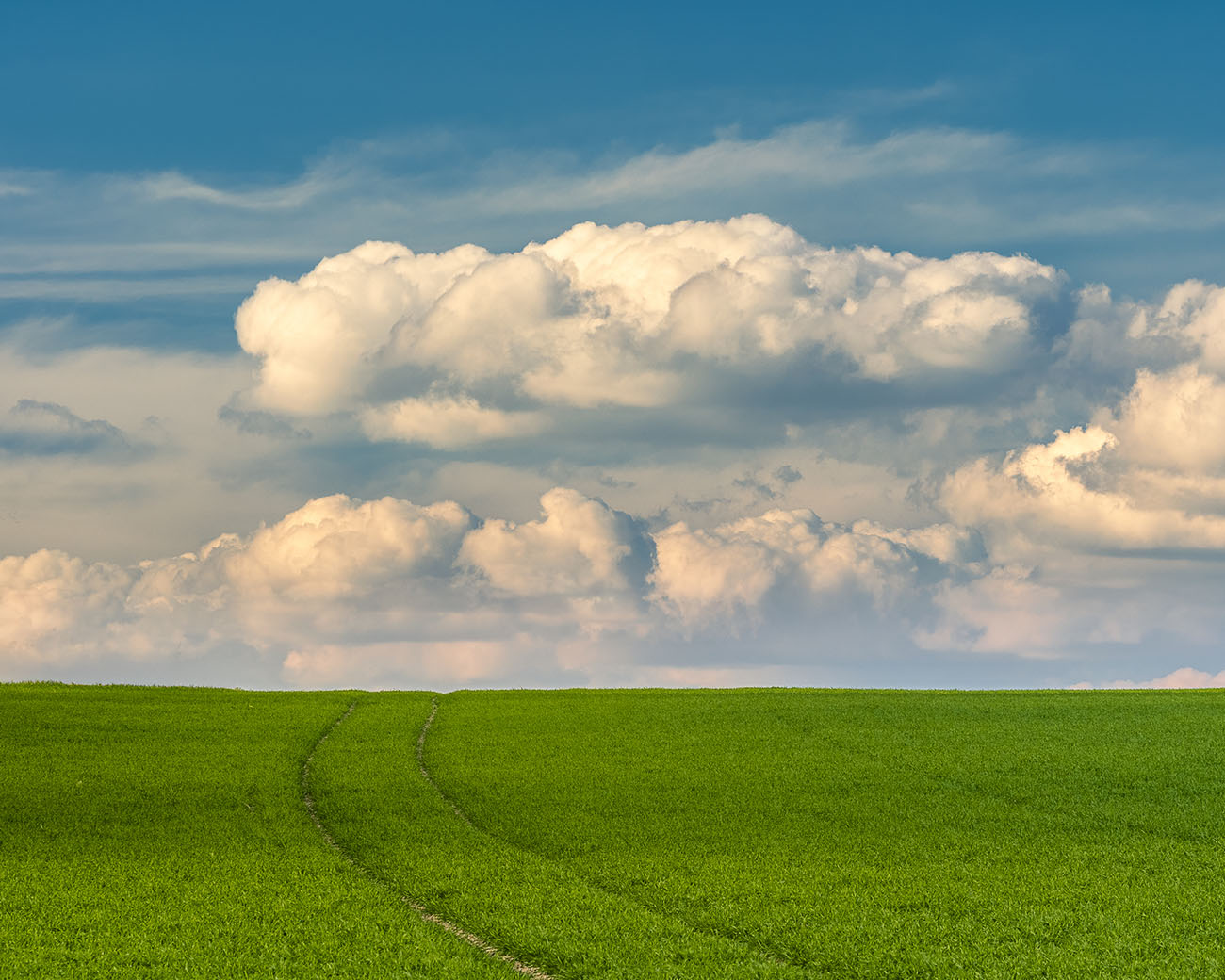 filtr polaryzacyjny pomaga fotografować pola