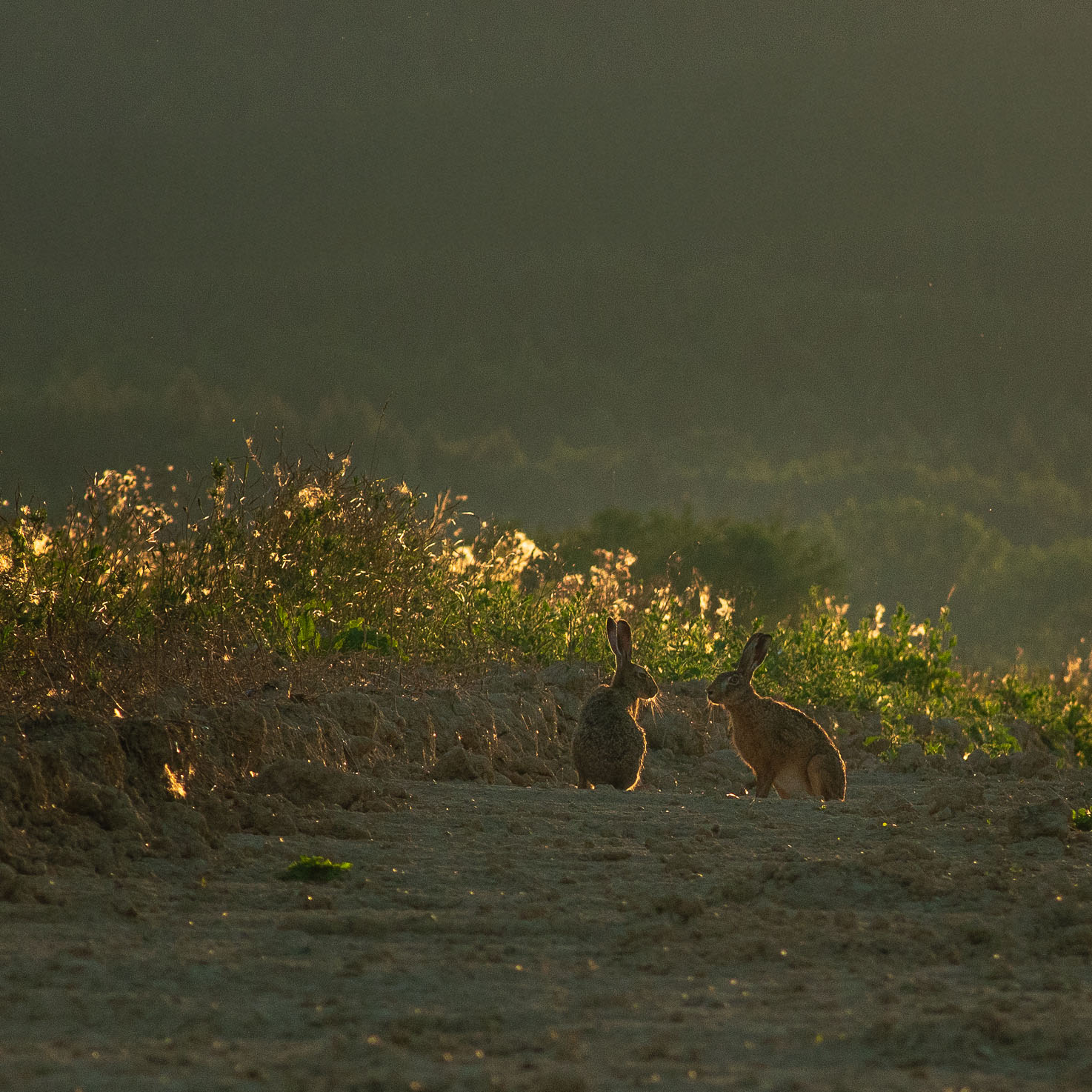 jak fotografować zachód słońca