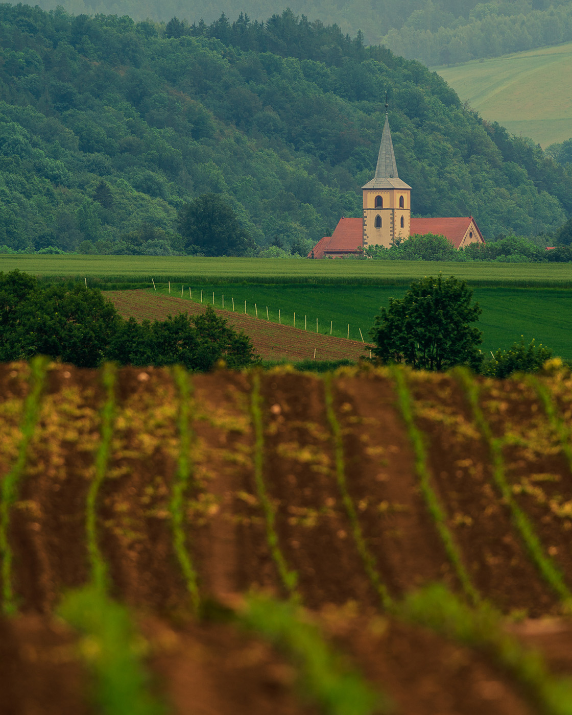 jak być lepszym fotografem - zmiana perspektywy