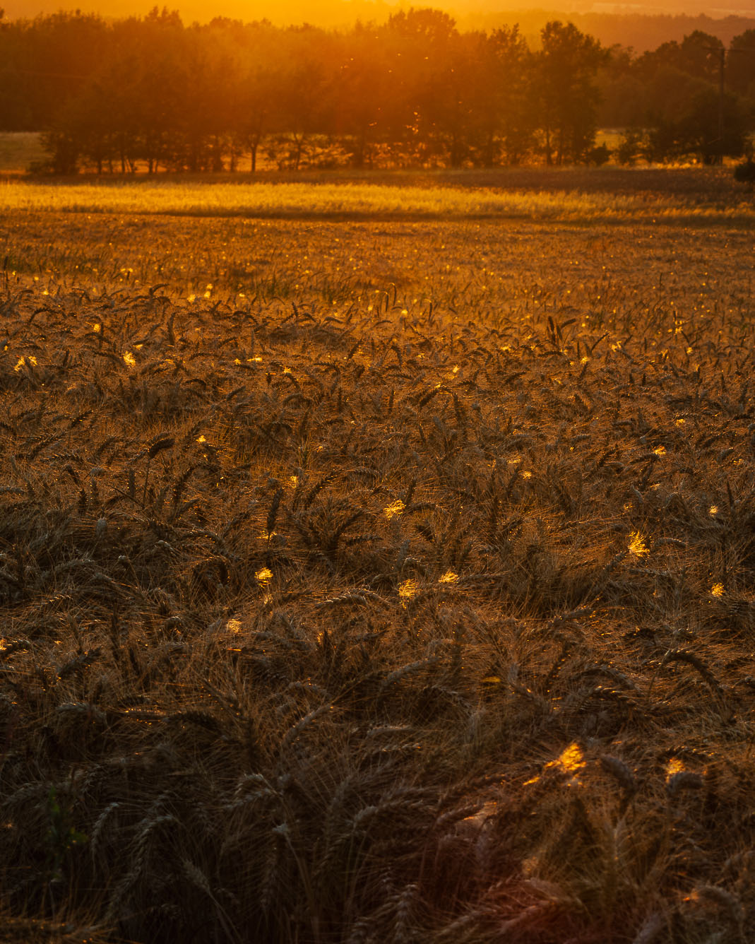 jak znaleźć dobre miejsca na zdjęcia