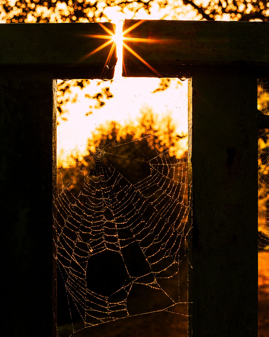 jak znaleźć miejsca na zdjęcia