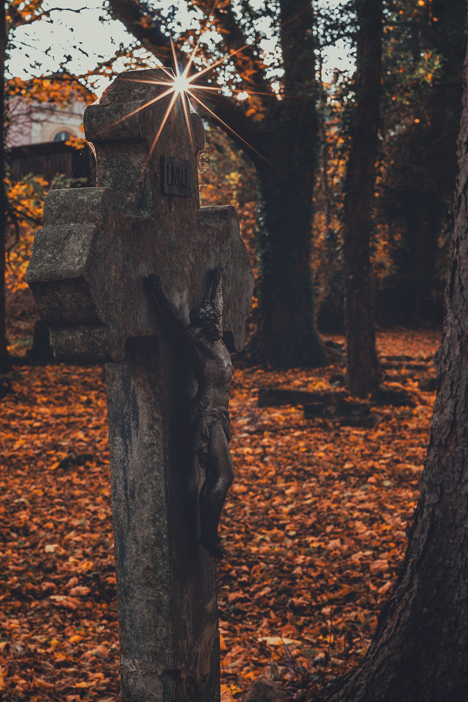 kreatywne fotografowanie cmentarza