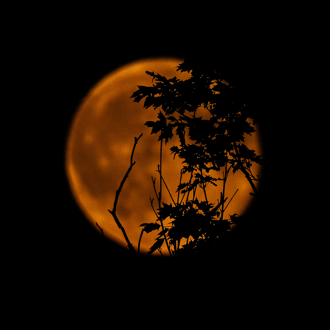 jak fotografować księżyc