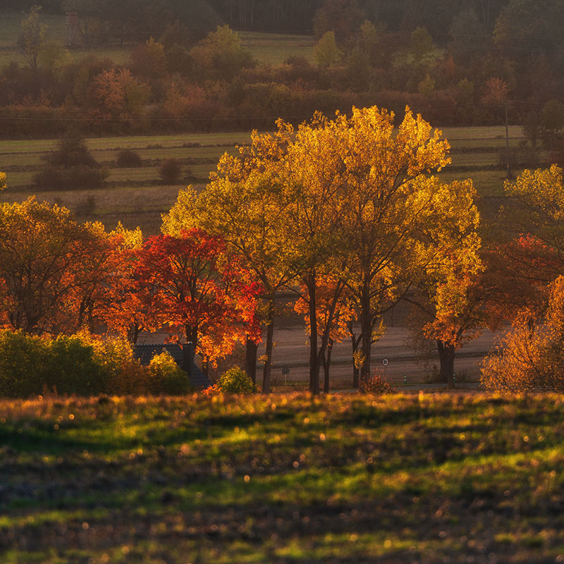 kurs fotografii krajobrazowej
