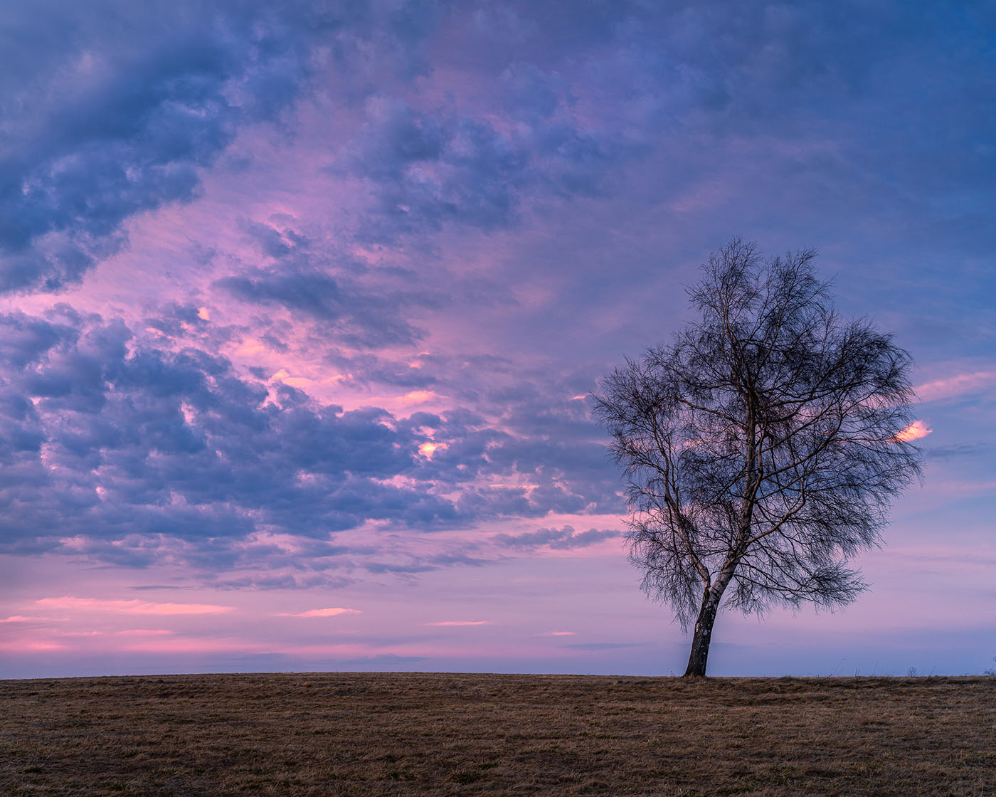 Minimalistyczna fotografia krajobrazu