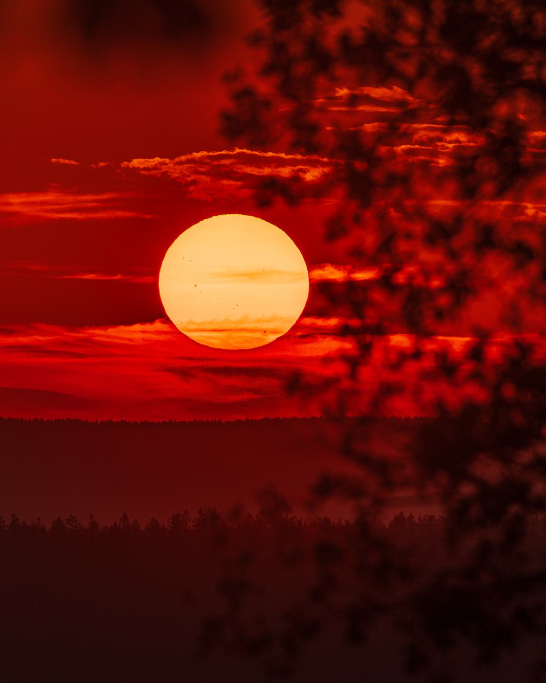 zasady kompozycji fotografii - obramowanie