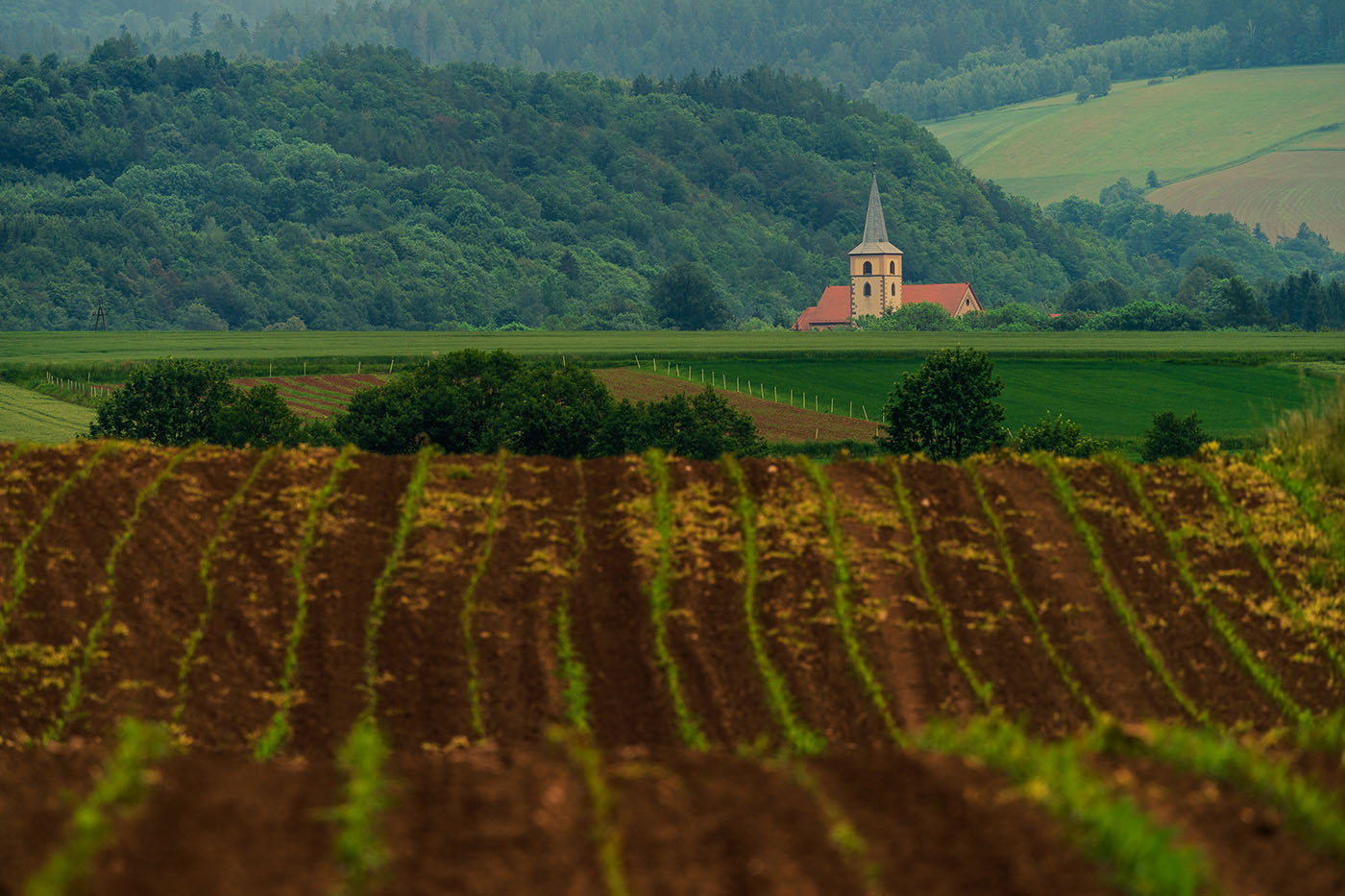 jak stać się lepszym fotografem