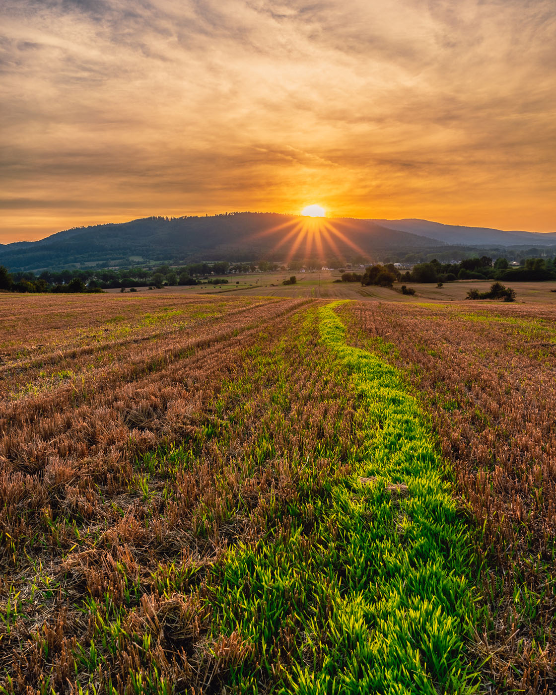 poradnik jak fotografować zachód słońca