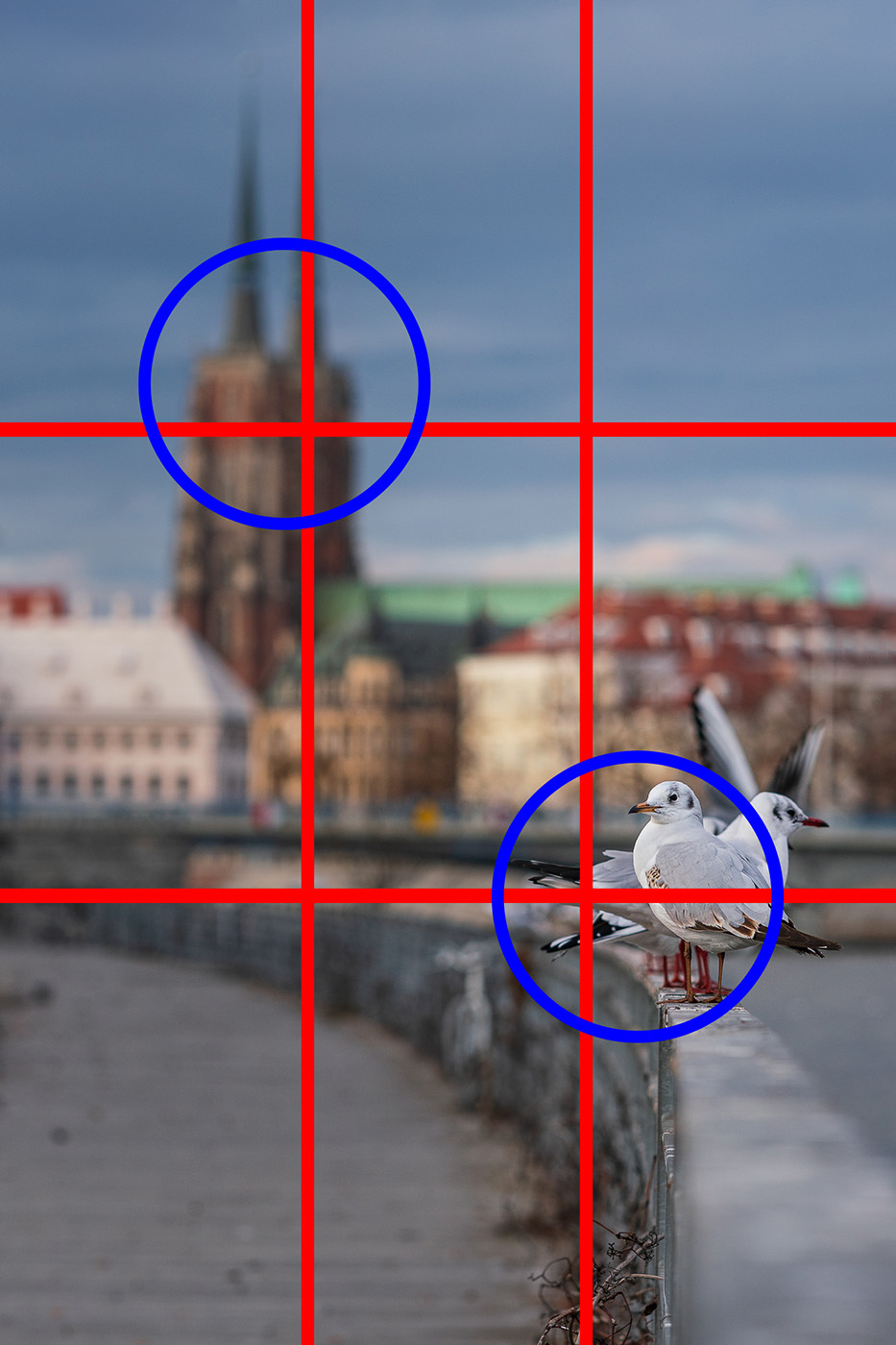 Zasady kompozycji zdjęć - trójpodział