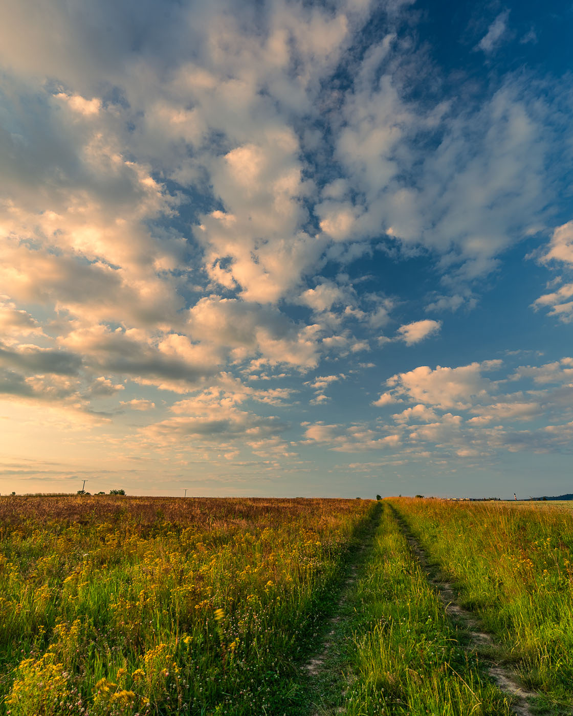 Obiektyw szerokokątny do fotografii krajobrazu