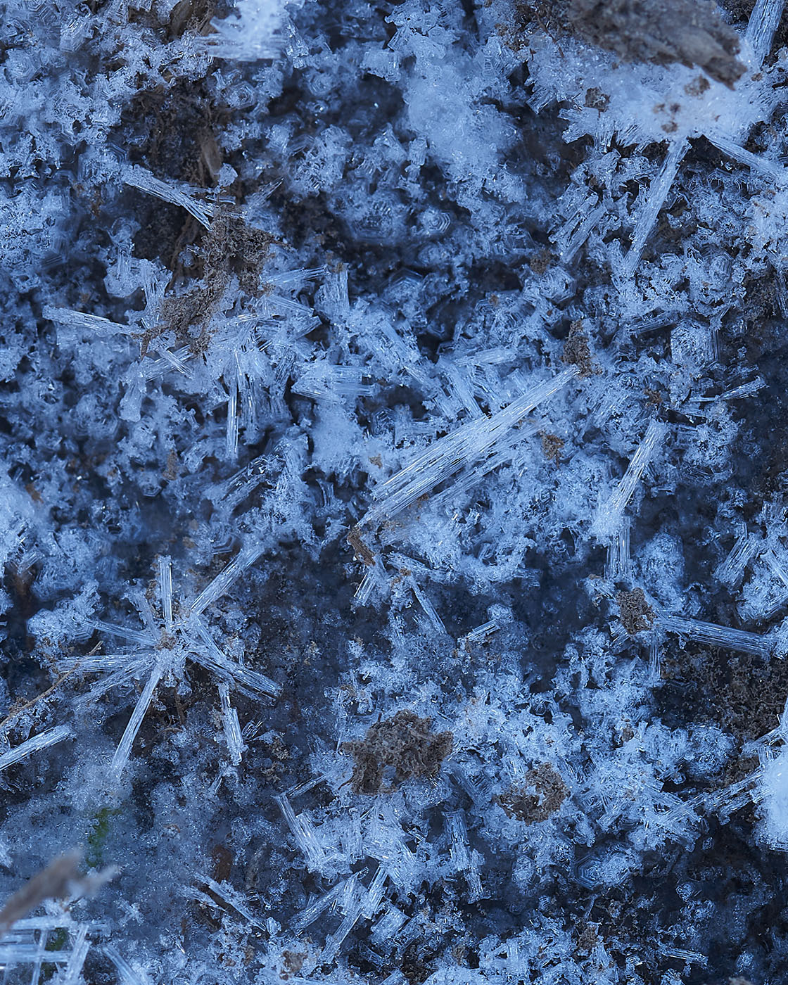 Jak fotografować zamarznięte kałuże