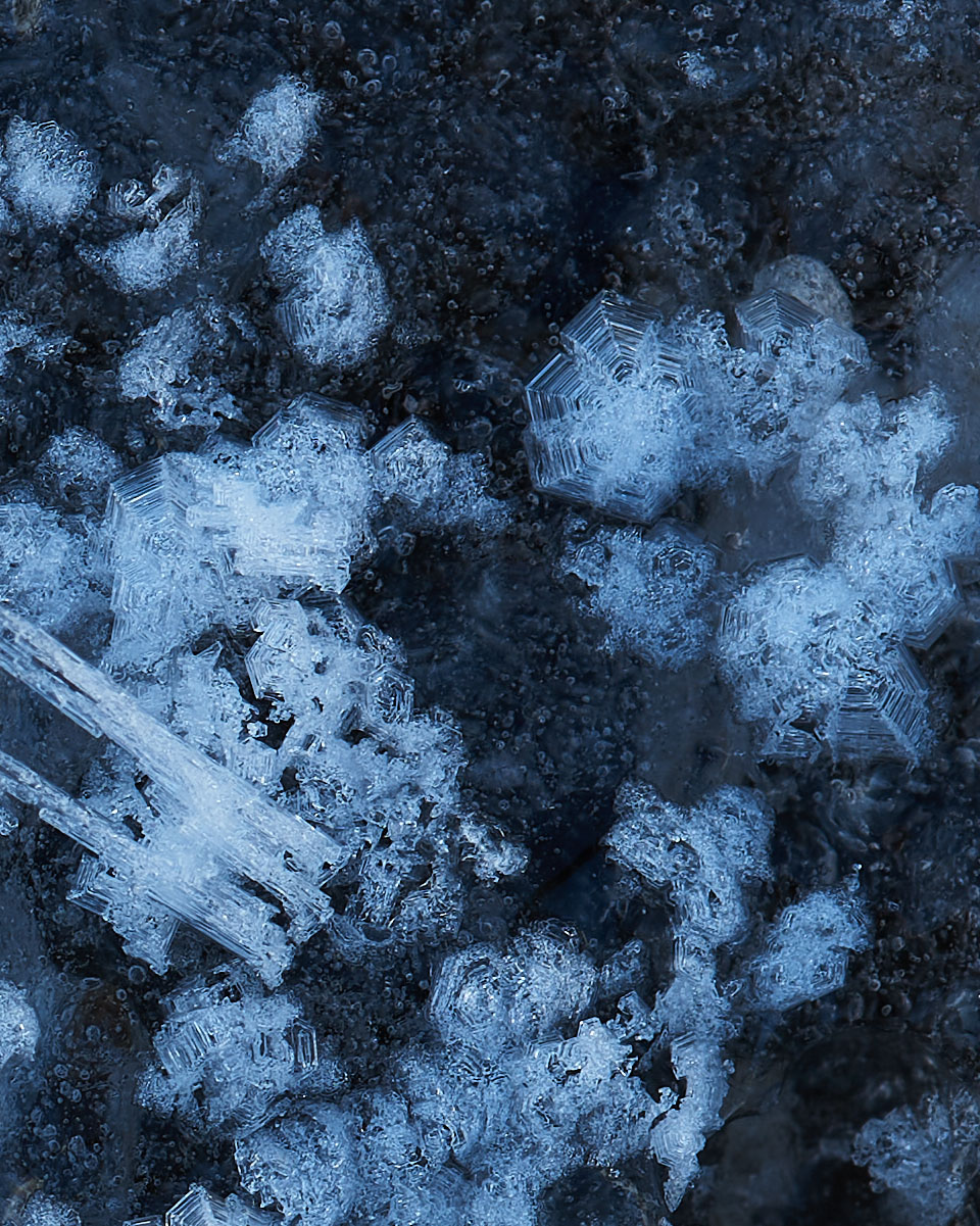 jak fotografować zimą