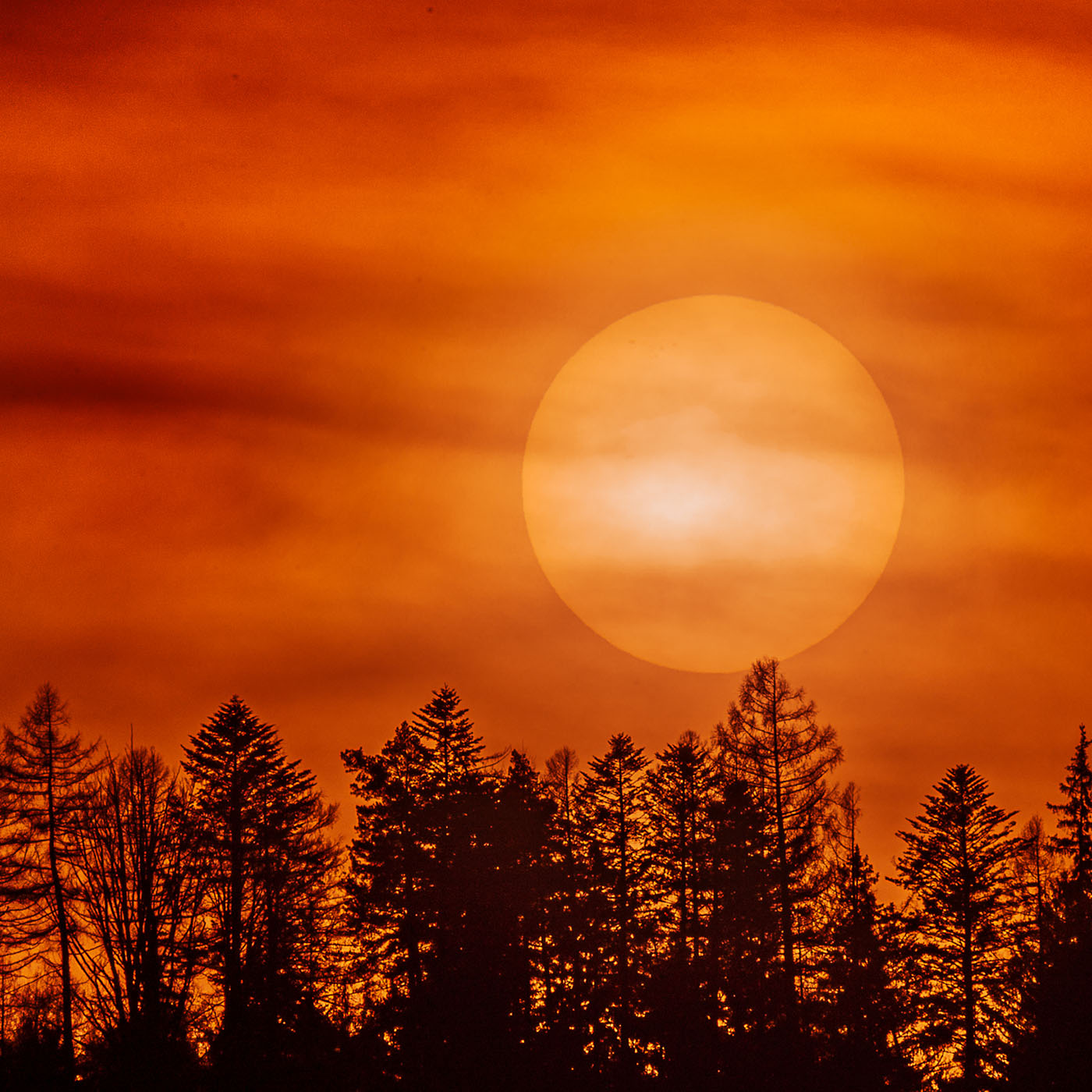 jak fotografować tarczę słoneczną