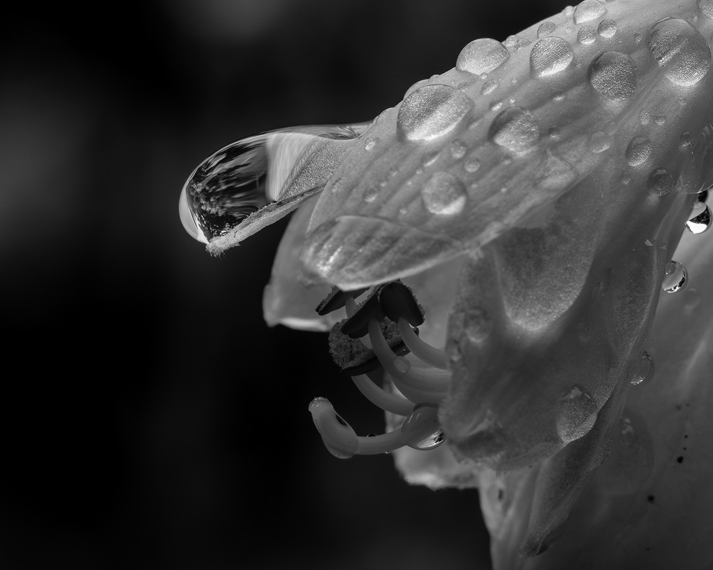 Jak fotografować krople