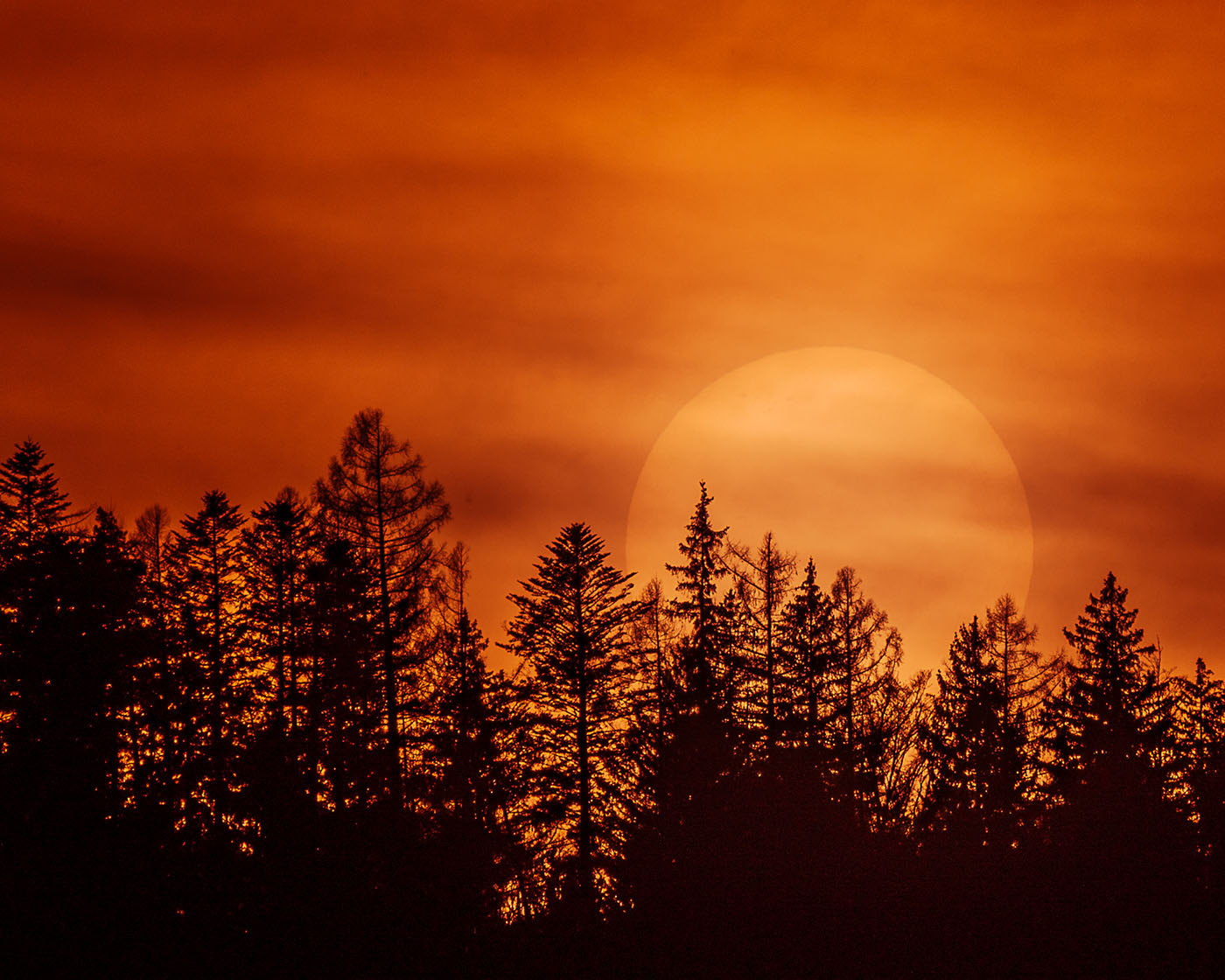 jak fotografować tarczę słoneczną