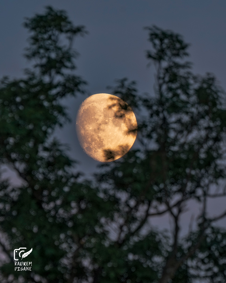 kurs fotografii krajobrazu Wrocław